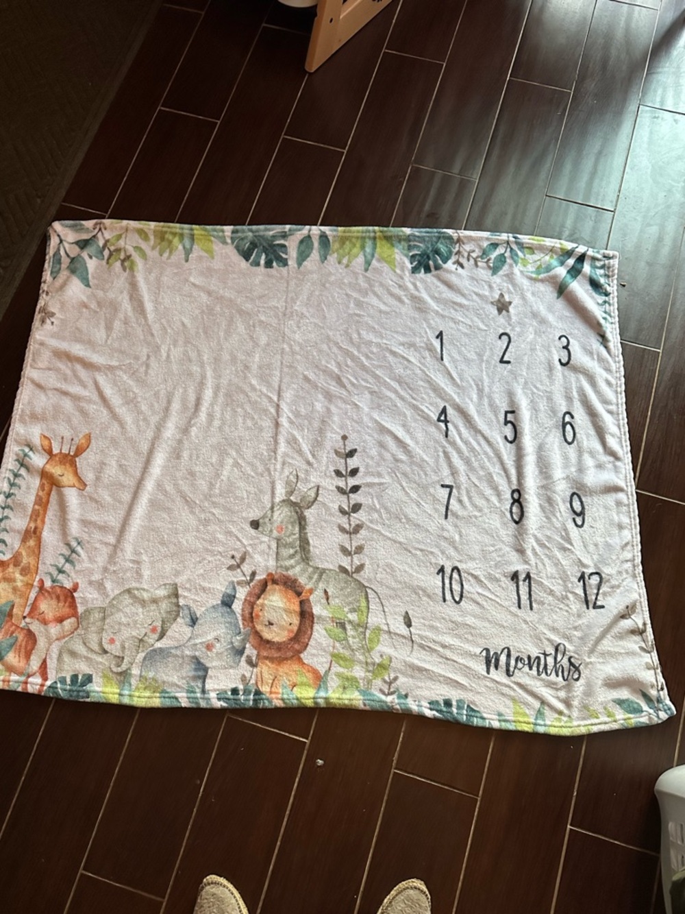 Baby Milestone Month Blanket
